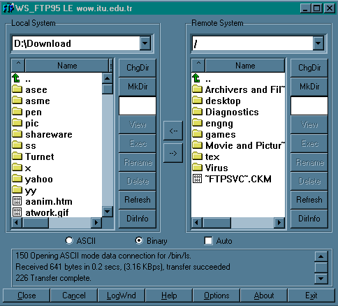 14. Grafik Arabirimli FTP ne demektir? 