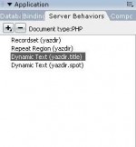 Applications paneli altında Server Behaviors
sekmesi