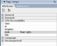 Attributes paneli kategori görünümü