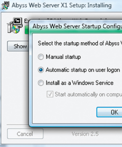 Xlight FTP Server (version 2.835)'i kullandık