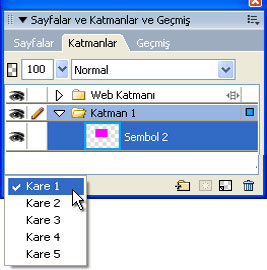 Fireworks Animasyon-5