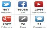 WordPress : Sosyal Ağ Takipçi Sayısı Gösterme