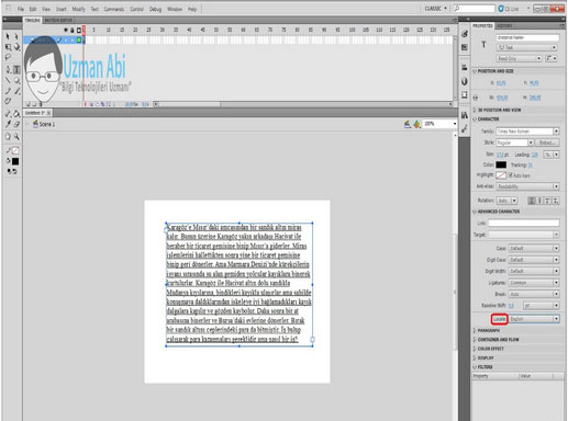 Adobe Flash CS5 Text Alanları ile ilgili Yenilikler